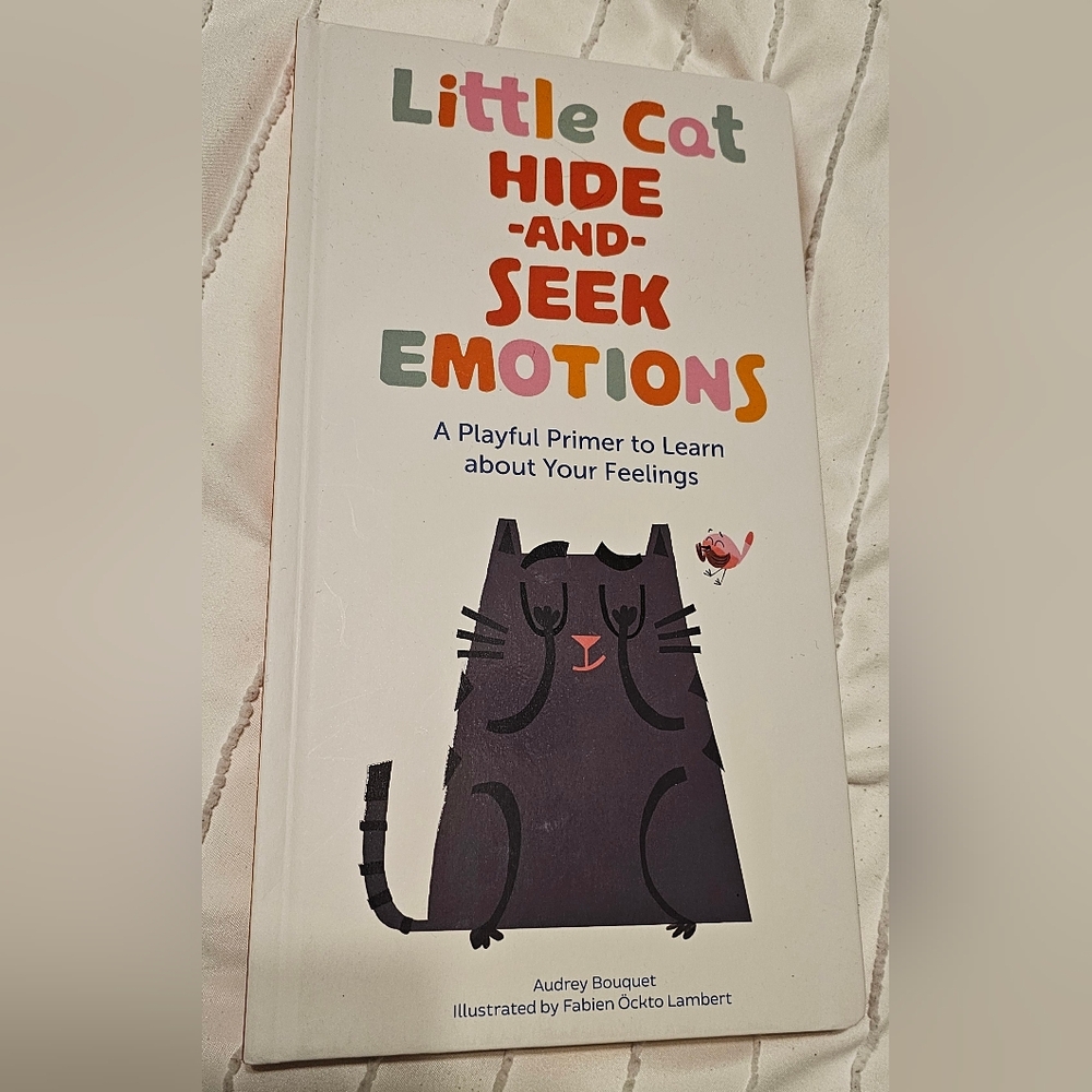 Little Cat Hide-and-Seek Emotions
